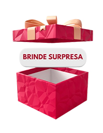 Brinde surpresa - 1