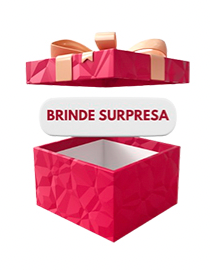 Brinde surpresa - 5